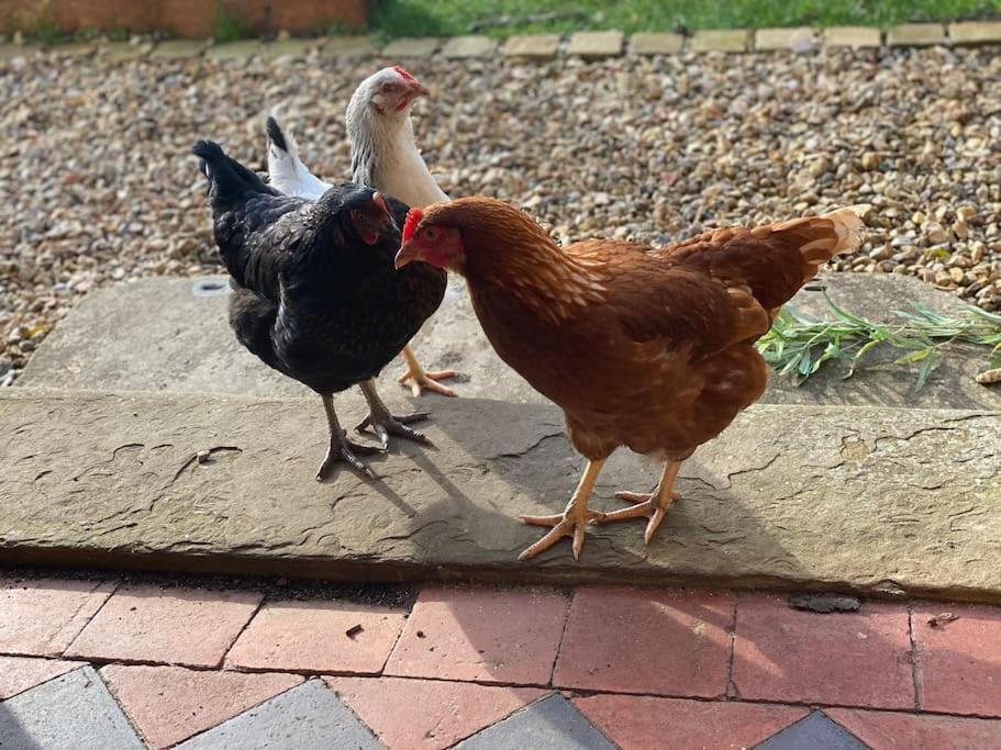 バートン・オン・ザ・ウォーター Beautiful Cotswold Couples Retreatヴィラ エクステリア 写真