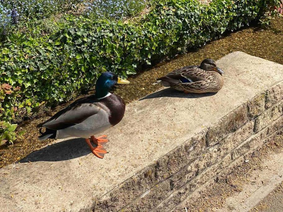 バートン・オン・ザ・ウォーター Beautiful Cotswold Couples Retreatヴィラ エクステリア 写真